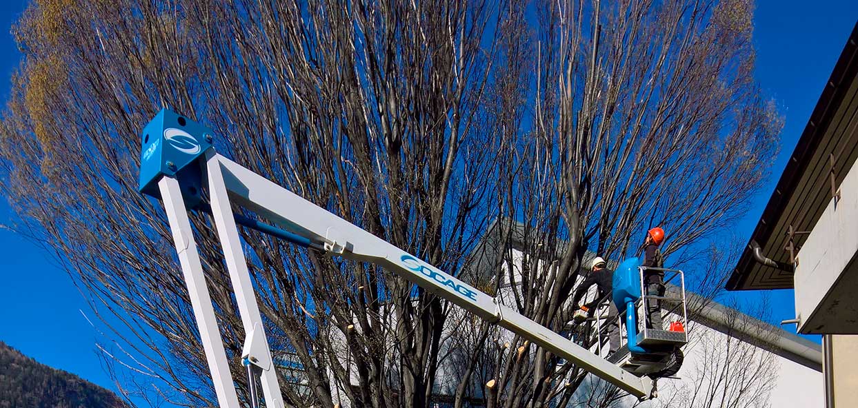 umgebungsarbeiten fredys facilitymanagement